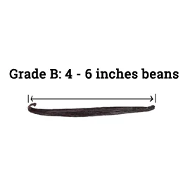 Grade B Vanilla Beans